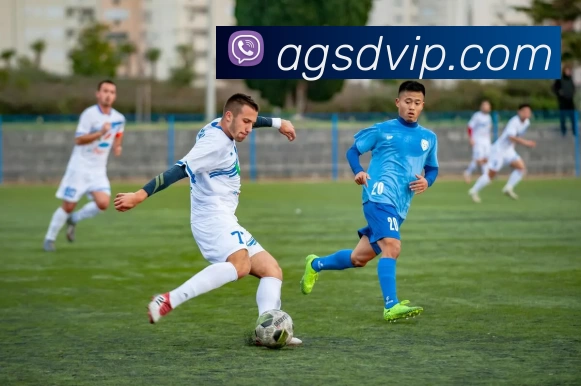 色碟官网平台生态图